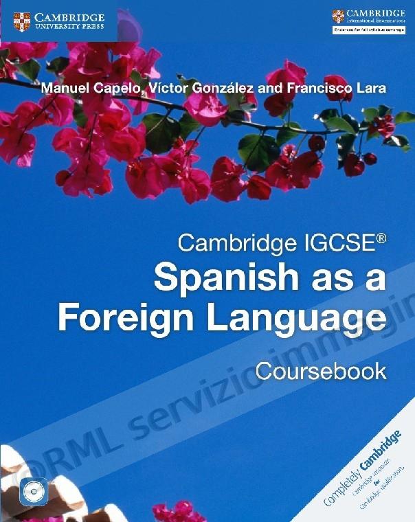 SPANISH AS A FOREIGN...
