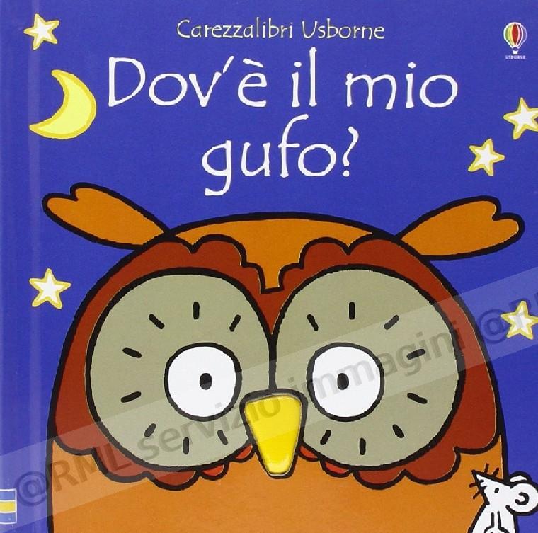 DOV' E' IL MIO GUFO ?