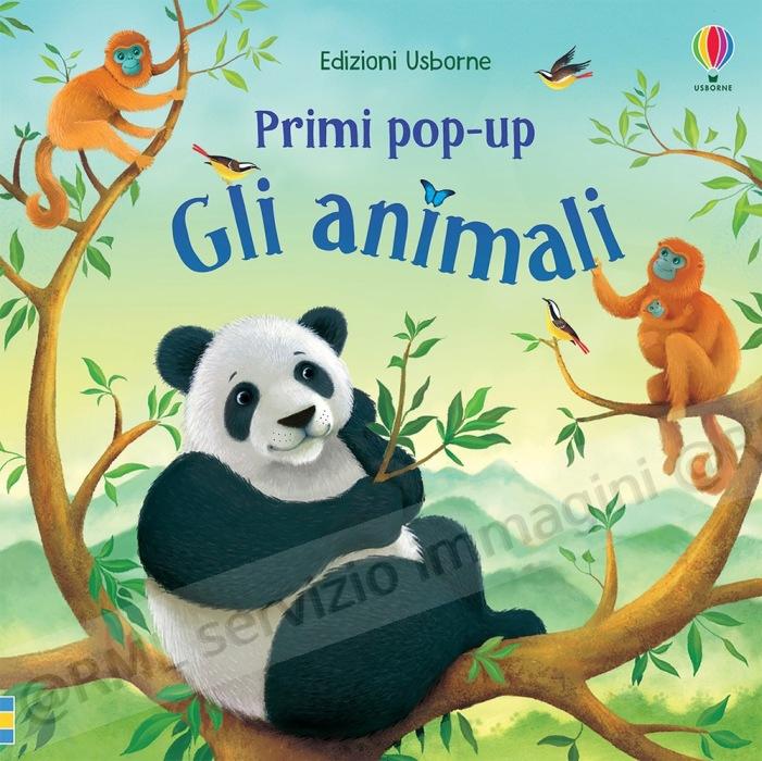 ANIMALI - PRIMI POP UP