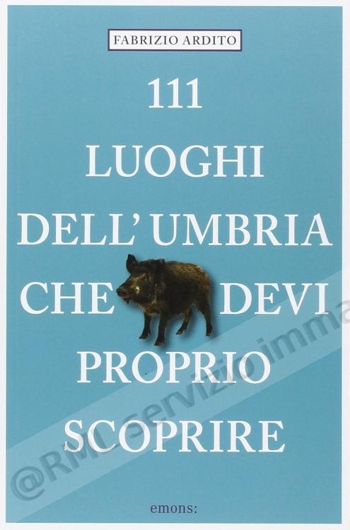 111 LUOGHI DELL'UMBRIA CHE...
