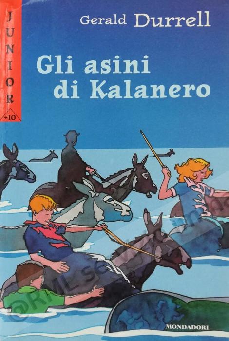 ASINI DI KALANERO