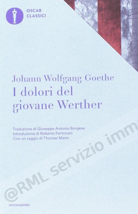 DOLORI DEL GIOVANE WERTHER