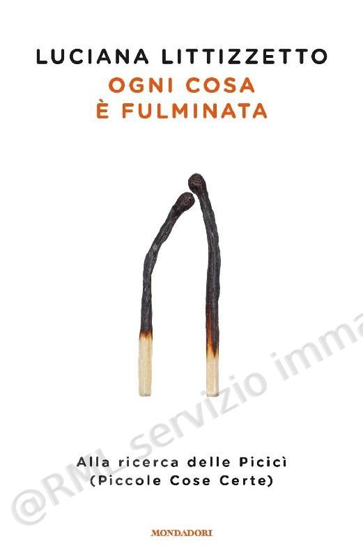 OGNI COSA E' FULMINATA