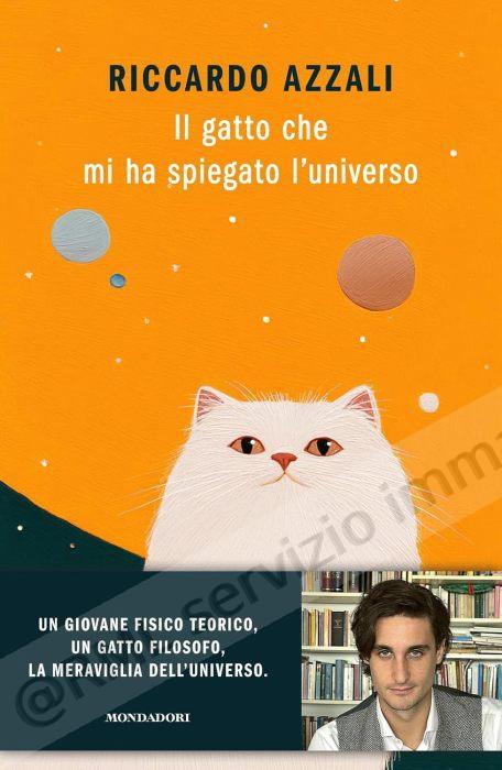 gatto che mi ha spiegato...