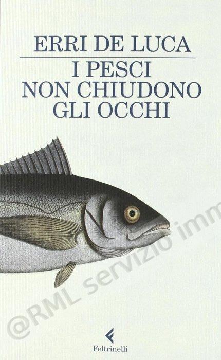 PESCI NON CHIUDONO GLI OCCHI