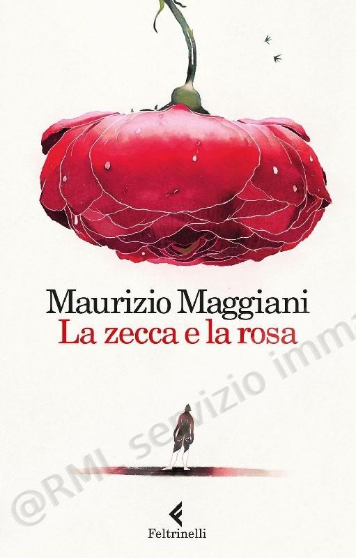 ZECCA E LA ROSA