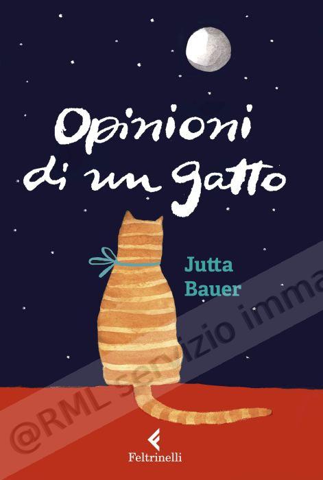 OPINIONI DI UN GATTO