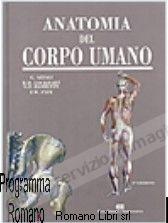 ANATOMIA DEL CORPO UMANO