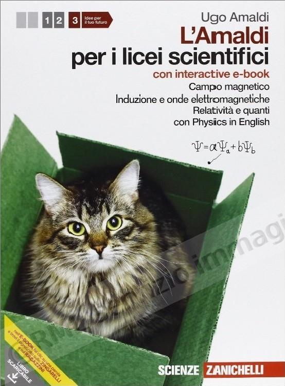 AMALDI PER I LICEI SC.3 +DVD