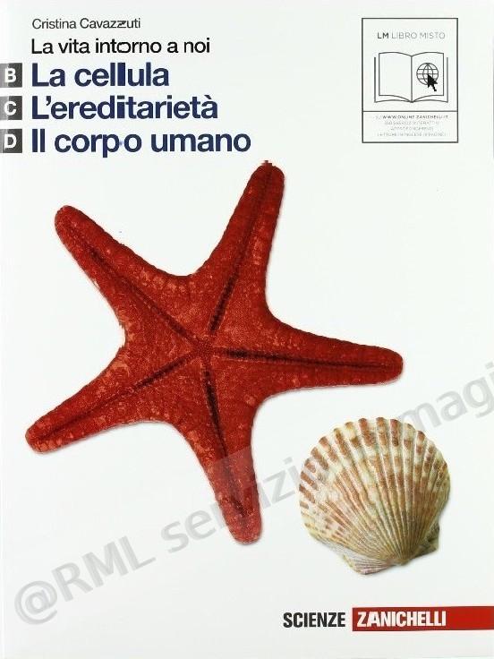 VITA INTORNO A NOI BCD