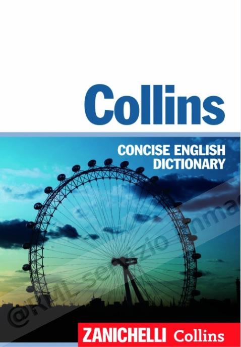 DIZIONARIO MONOLINGUE...