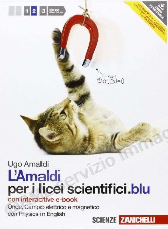AMALDI PER I LICEI SC.BLU 2...