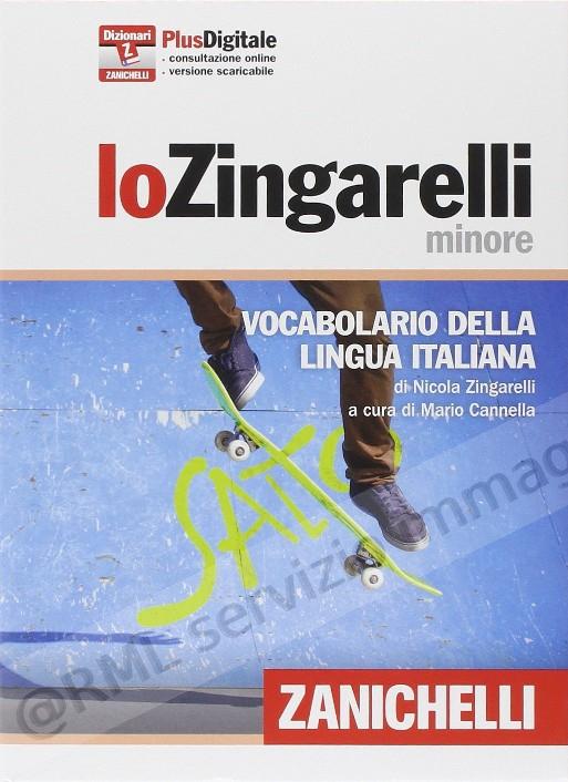 DIZIONARIO ITALIANO  MINORE...