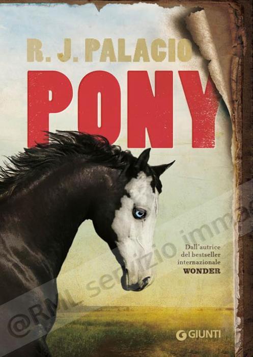 PONY