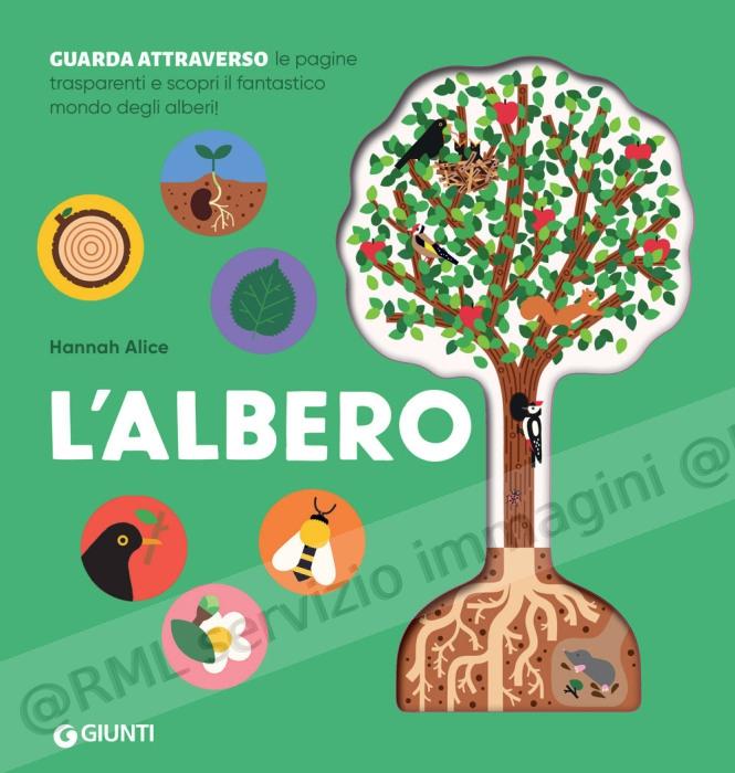 ALBERO