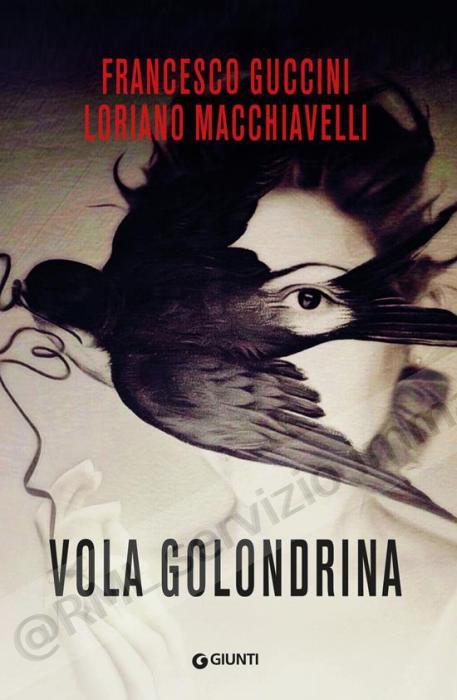 vola golondrina