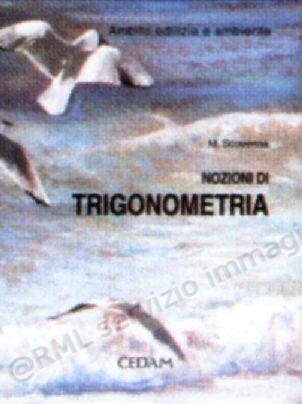 NOZIONI DI TRIGONOMETRIA