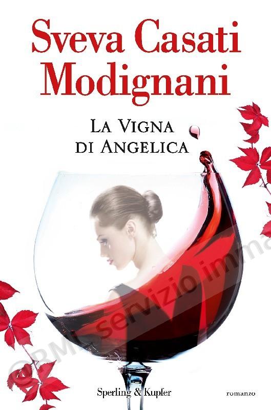 VIGNA DI ANGELICA