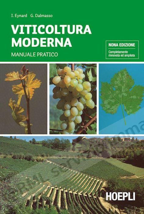 VITICOLTURA MODERNA (9)