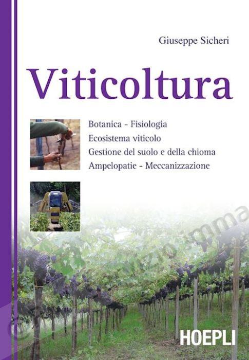 VITICOLTURA
