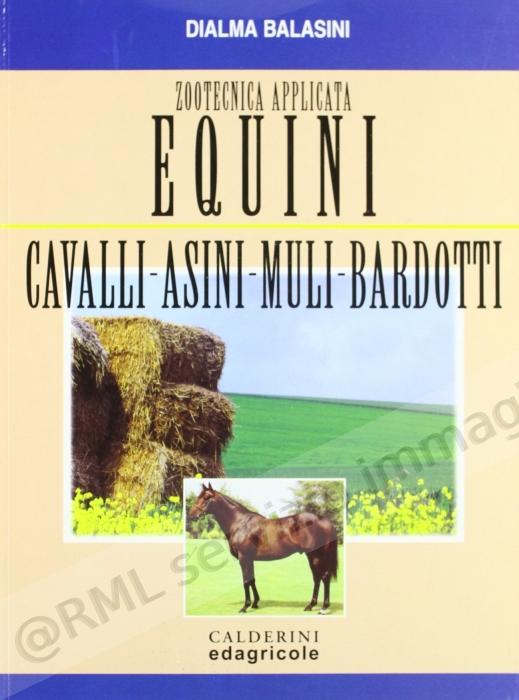 ZOOTECNICA APPLICATA 2, EQUINI