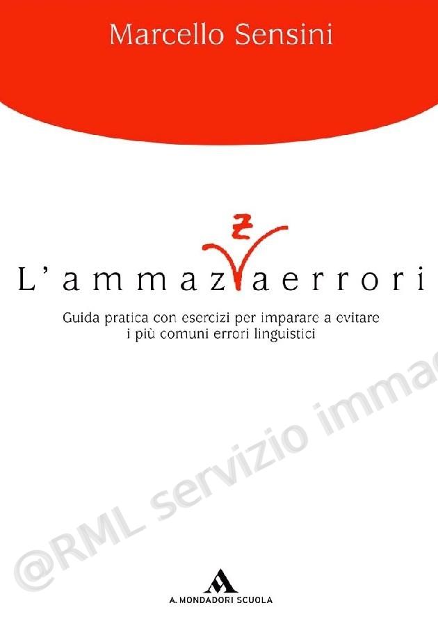 AMMAZZAERRORI, GUIDA...