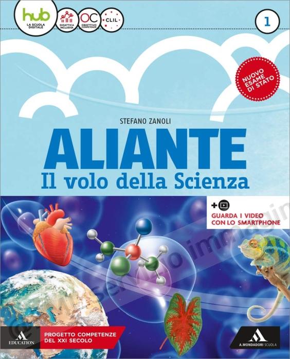 ALIANTE 1