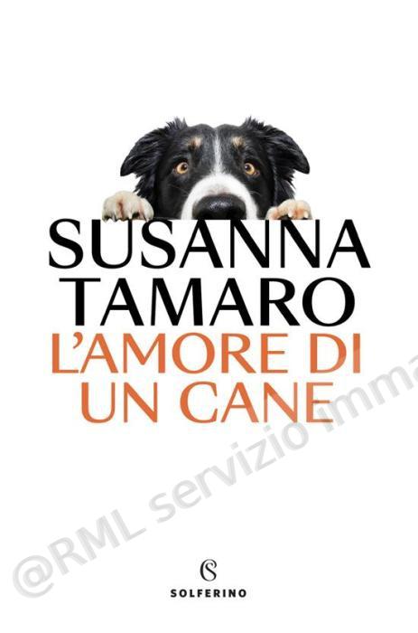 amore di un cane