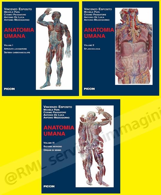ANATOMIA UMANA (3 voll.)