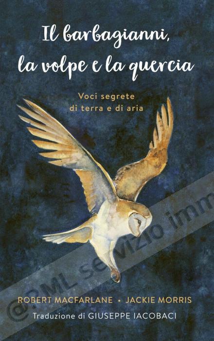 barbagianni, la volpe e la...
