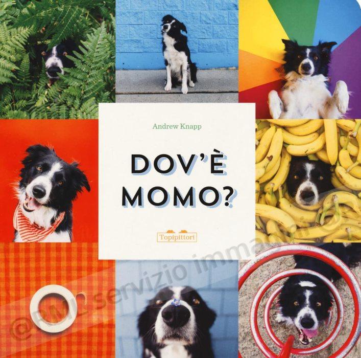 dov'e' momo? ediz illustrata