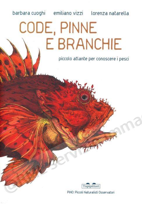 code, pinne e branchie...