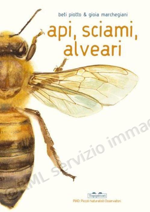 api, sciami, alveari ediz a...