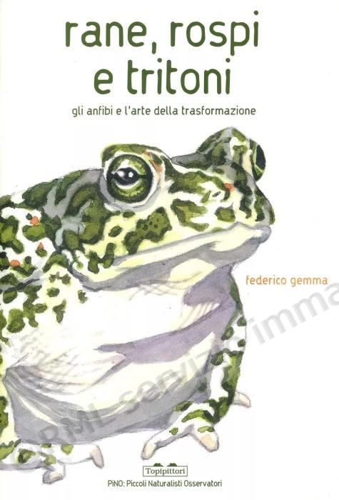 rane, rospi e tritoni gli...