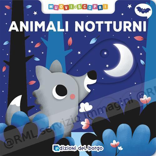 ANIMALI NOTTURNI