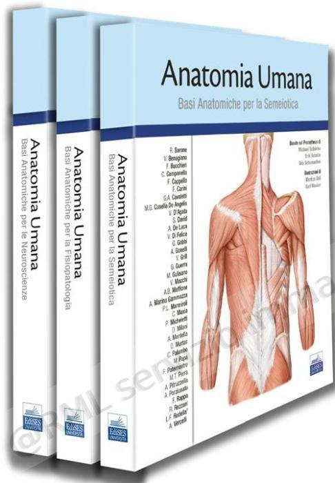anatomia umana cofanetto...