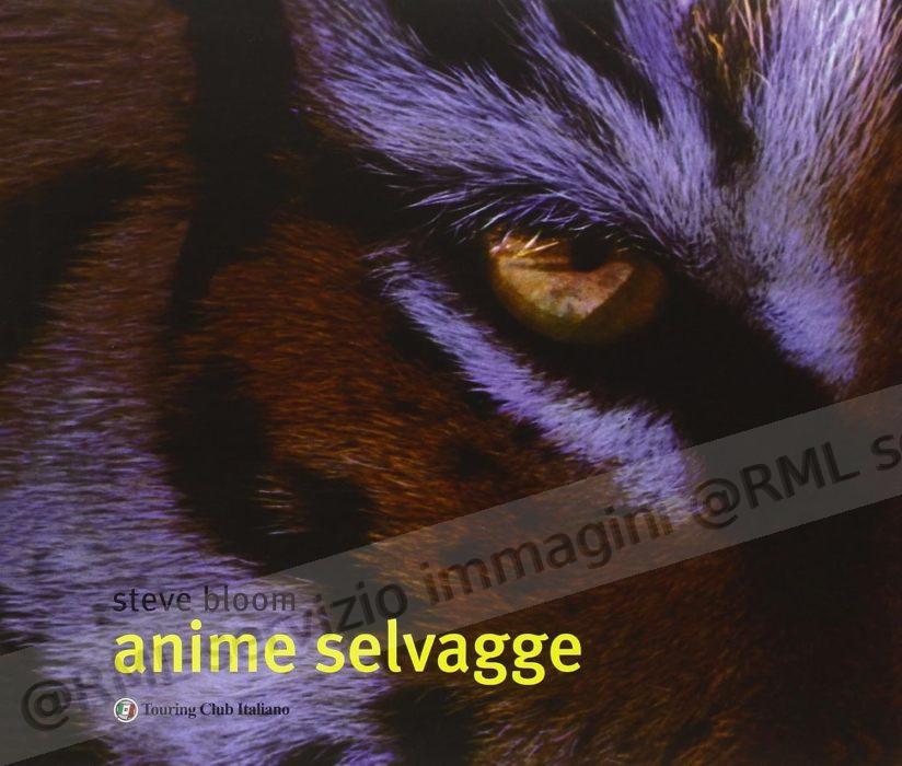 ANIME SELVAGGE (FOTOGRAFICO)