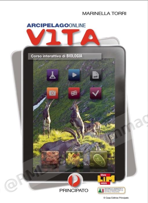 ARCIPELAGO ONLINE, VITA