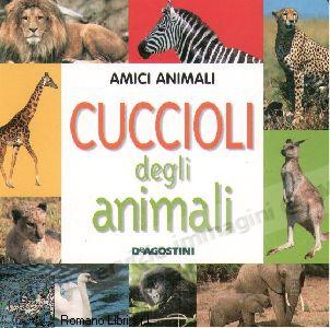CUCCIOLI DEGLI ANIMALI (cart.)