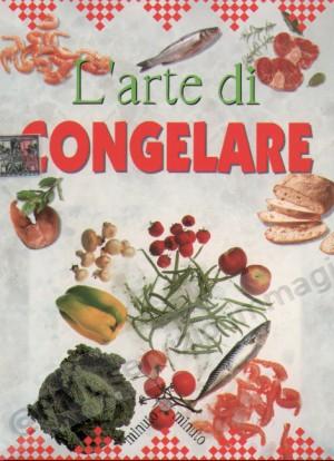 ARTE DI CONGELARE (Sassi)