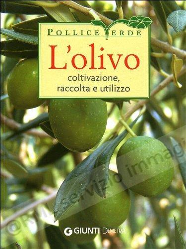 OLIVO COLTIVAZIONE,...