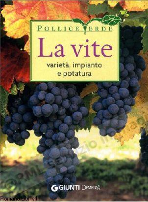 VITE varietଠimpianto e...