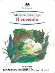 CUCCIOLO (DeSimone) X MEDIA