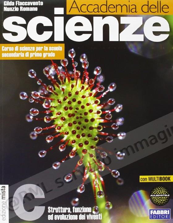 ACCADEMIA DELLE SCIENZE C