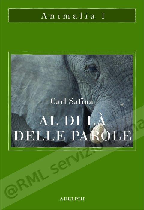 AL DI LA' DELLE PAROLE