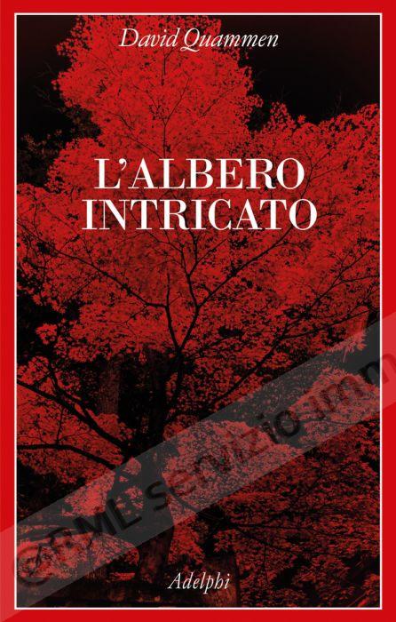 ALBERO INTRICATO
