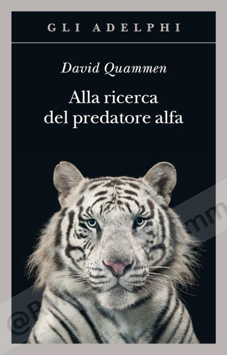 ALLA RICERCA DEL PREDATORE...