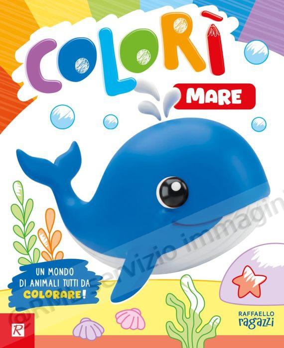 COLORI, MARE