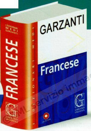 DIZIONARIO MEDIO DI FRANCESE