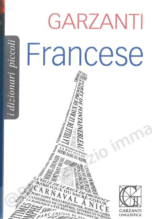 DIZIONARIO PICCOLO FRANCESE